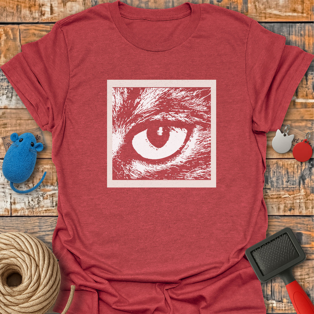 Hypnotic Cat Gaze